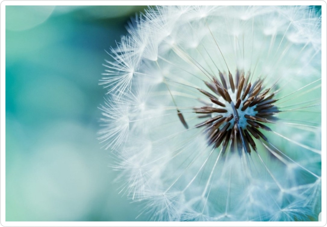 PhotoGrid_1524161330107