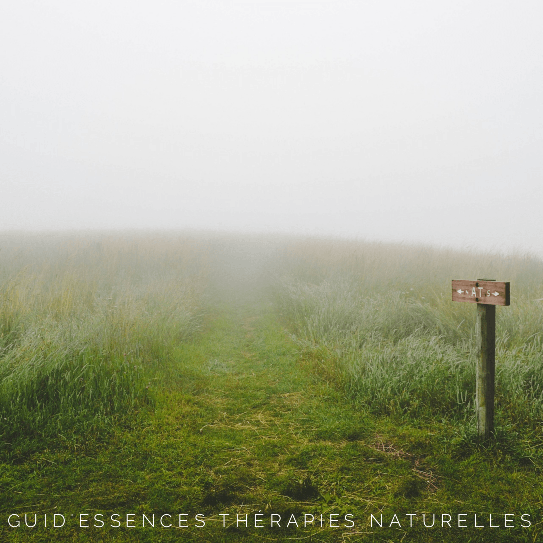 wordswag_1542414621065