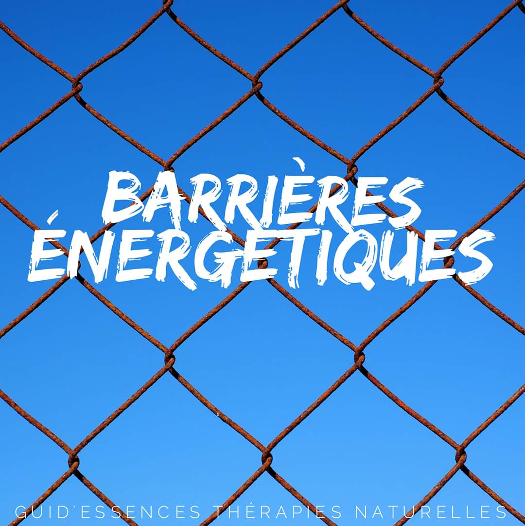 FB_IMG_1580718138526