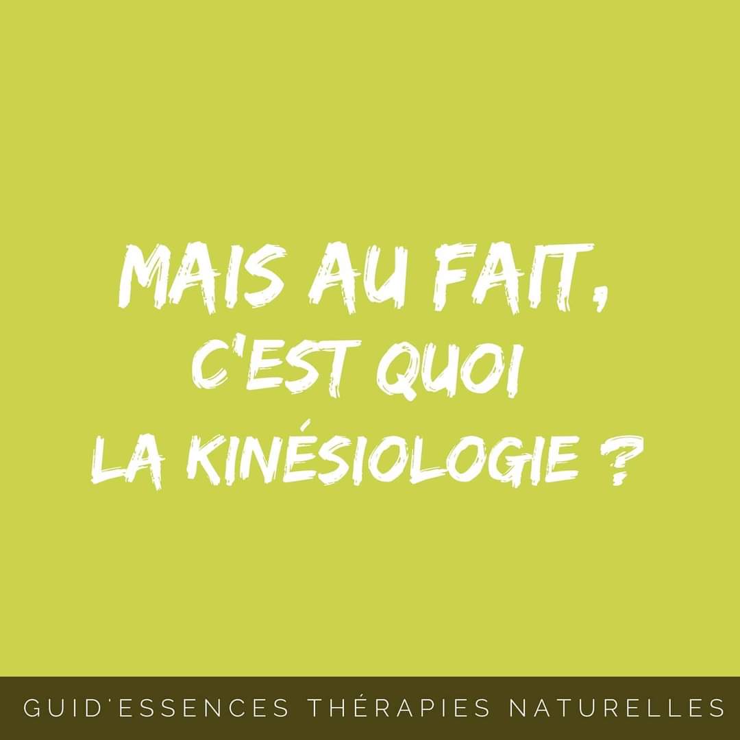 FB_IMG_1597309918756