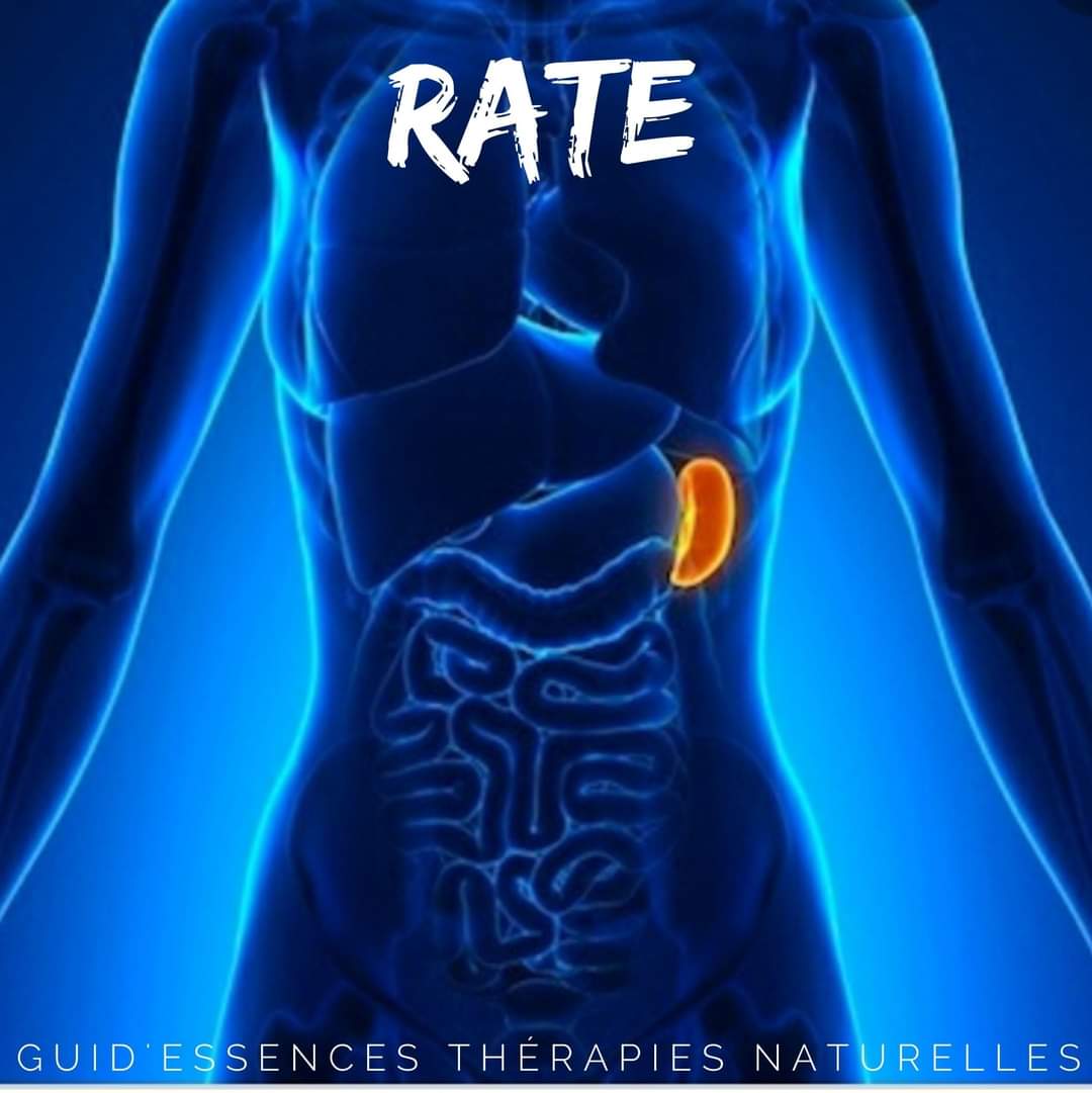 FB_IMG_1598800992665