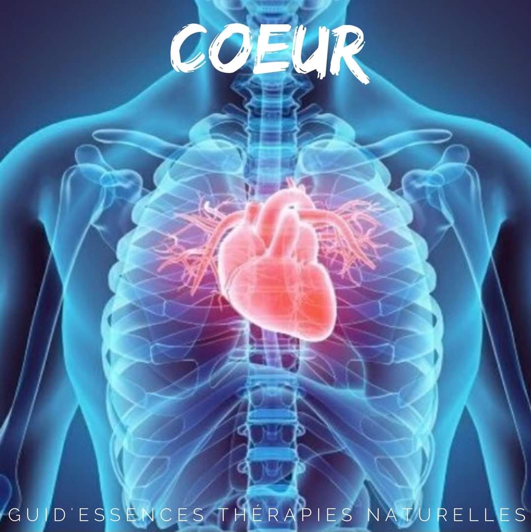 FB_IMG_1598801077839