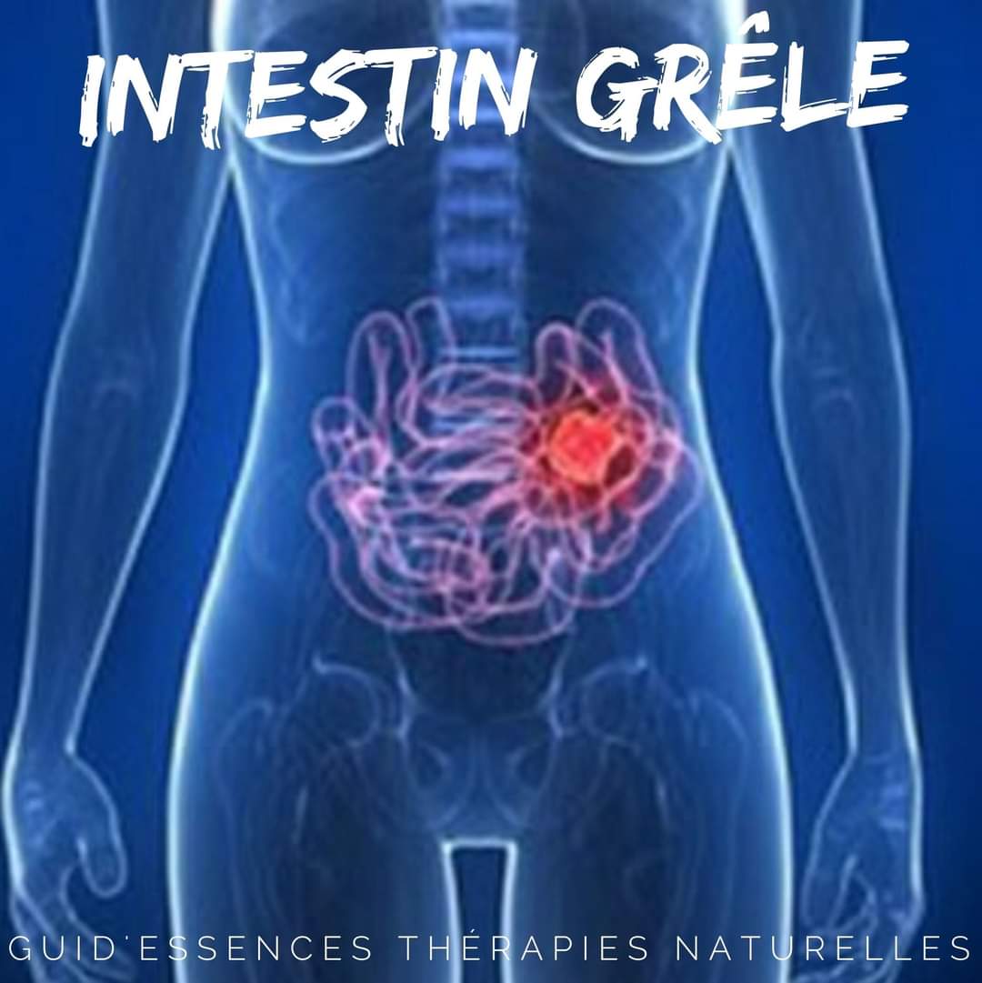 FB_IMG_1598849249338