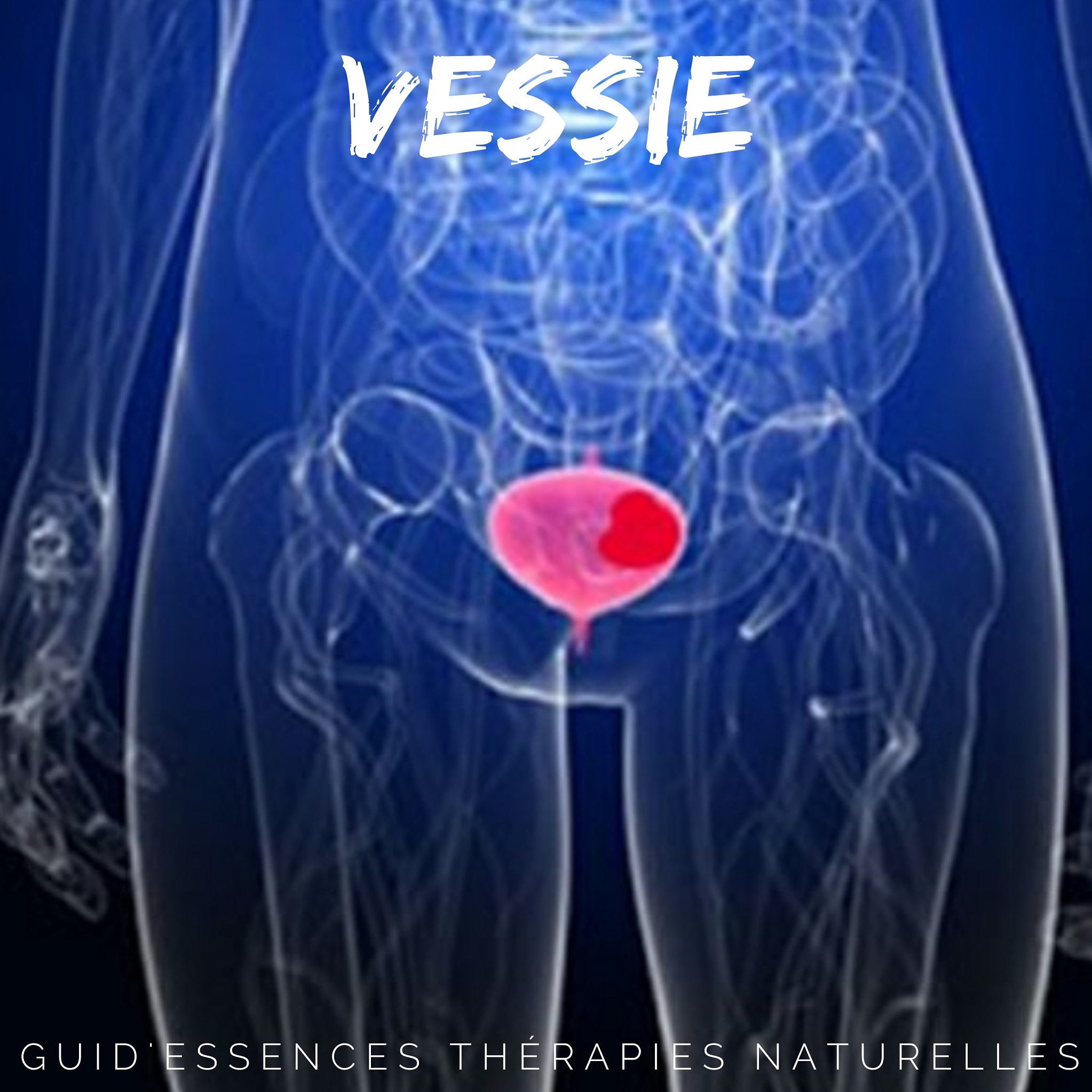 IMG_20200903_060725_217